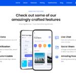 Website example
